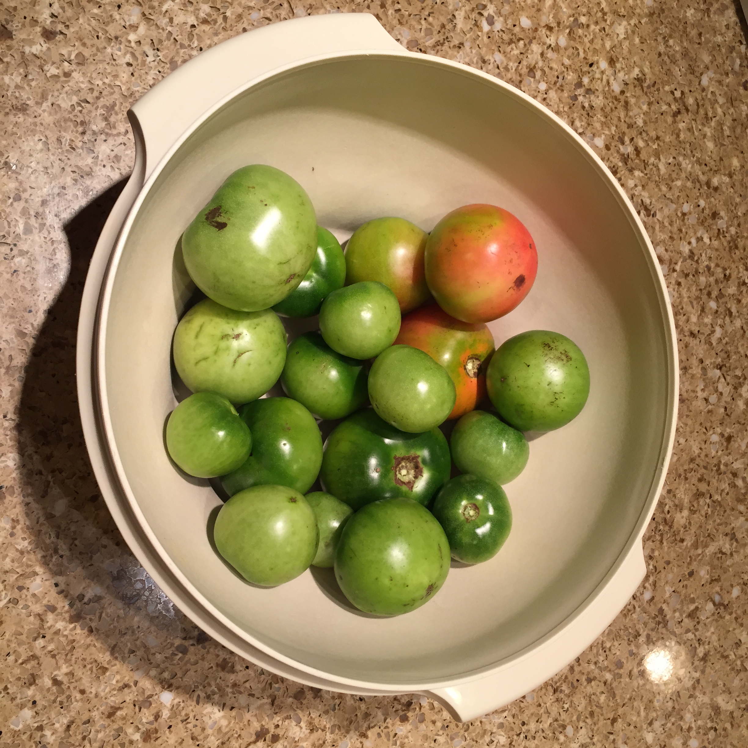 There were many green tomatoes left in the garden to find a good use for!